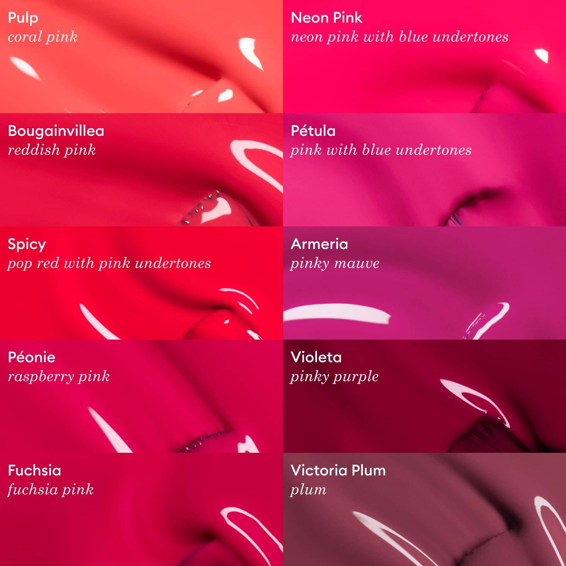 Fuchsia