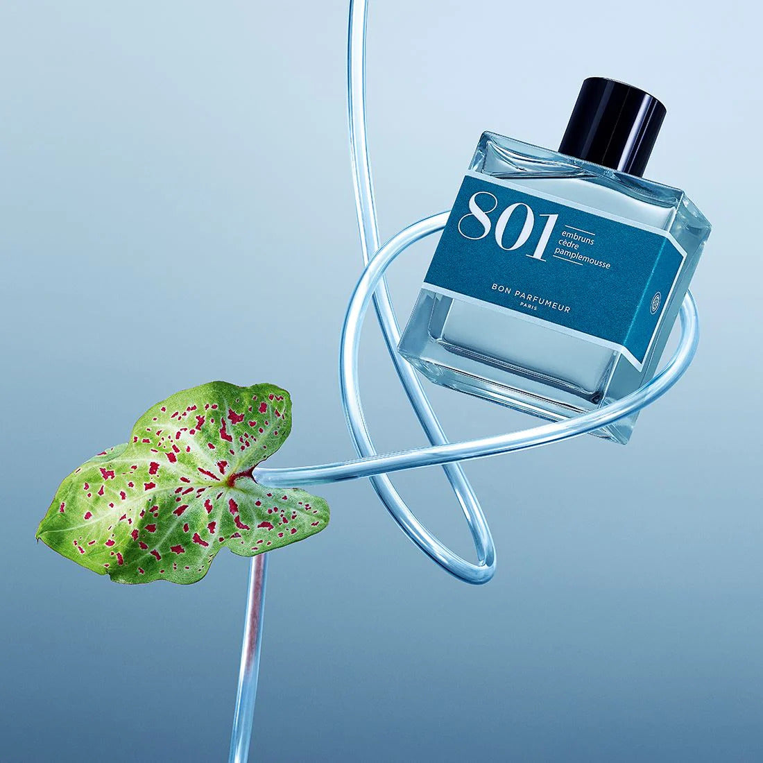 Eau de parfum 801 with sea spray, cedar and grapefruit 30ml