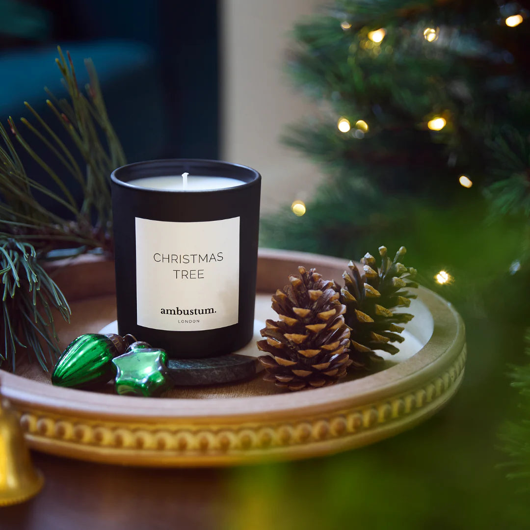 Ambustum Candle in Christmas Tree Scent