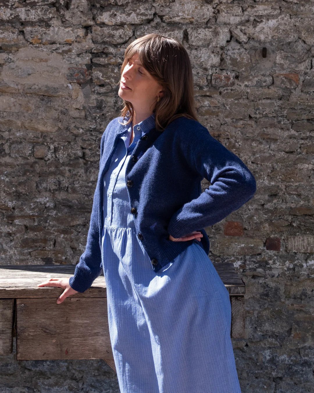 Bea Shirt Dress in Blue and White check
