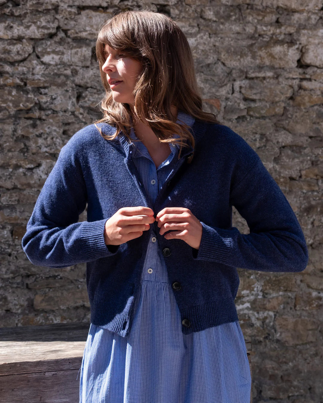 Bea Shirt Dress in Blue and White check
