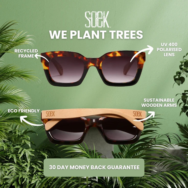 Milla Khaki Gradient Lens 1 with White Maple Arms