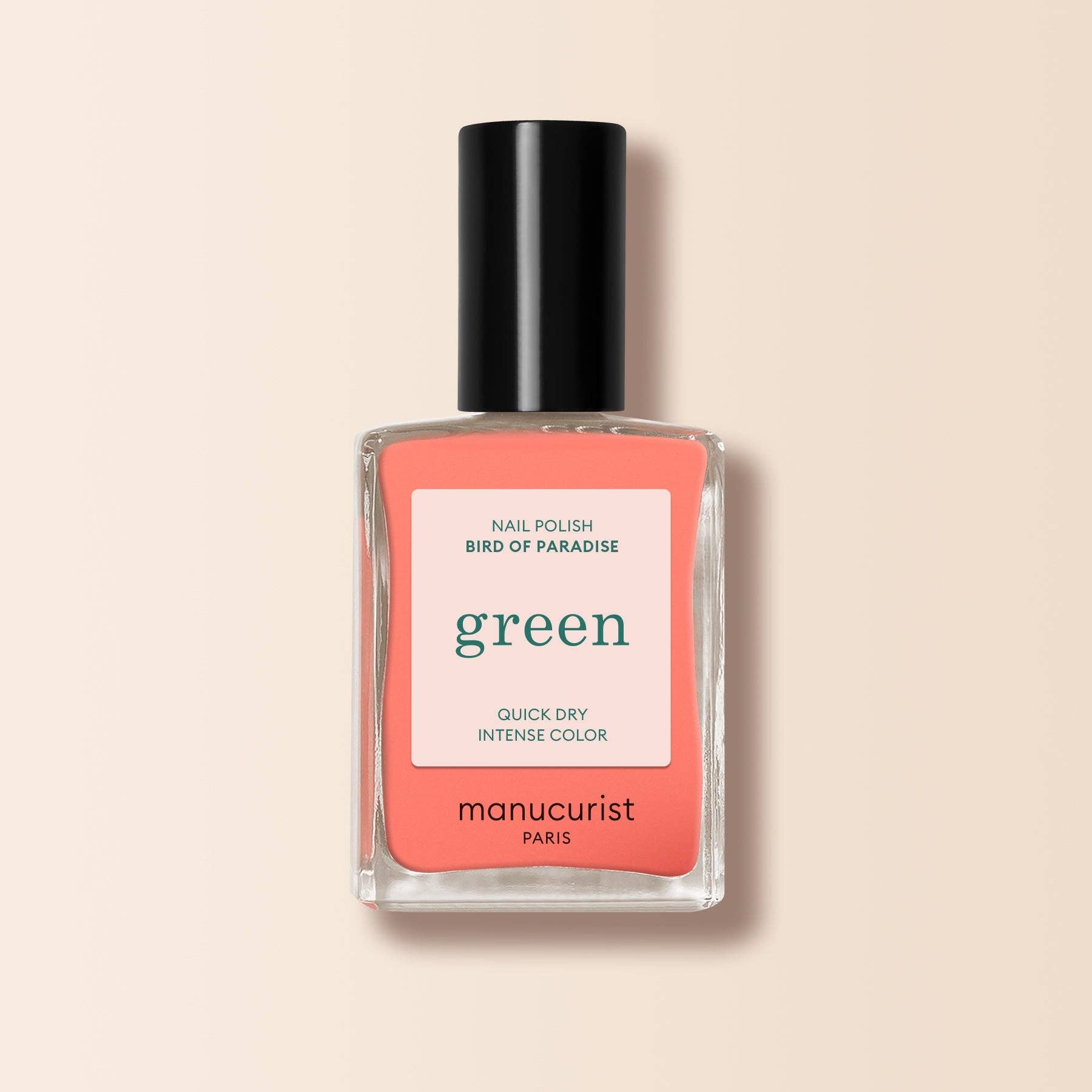 Bird of Paradise