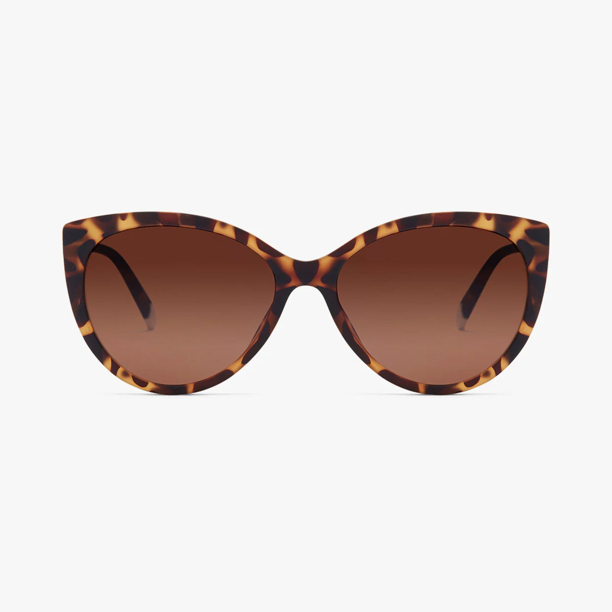 Barner sunglasses: Belleville in Tortoise