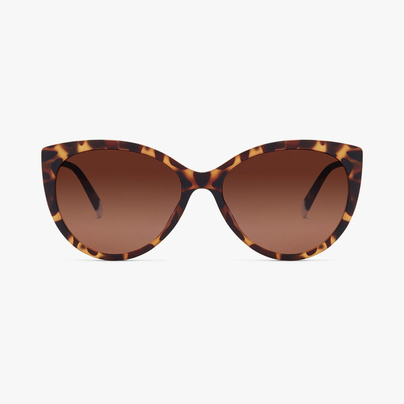 Barner sunglasses: Belleville in Tortoise