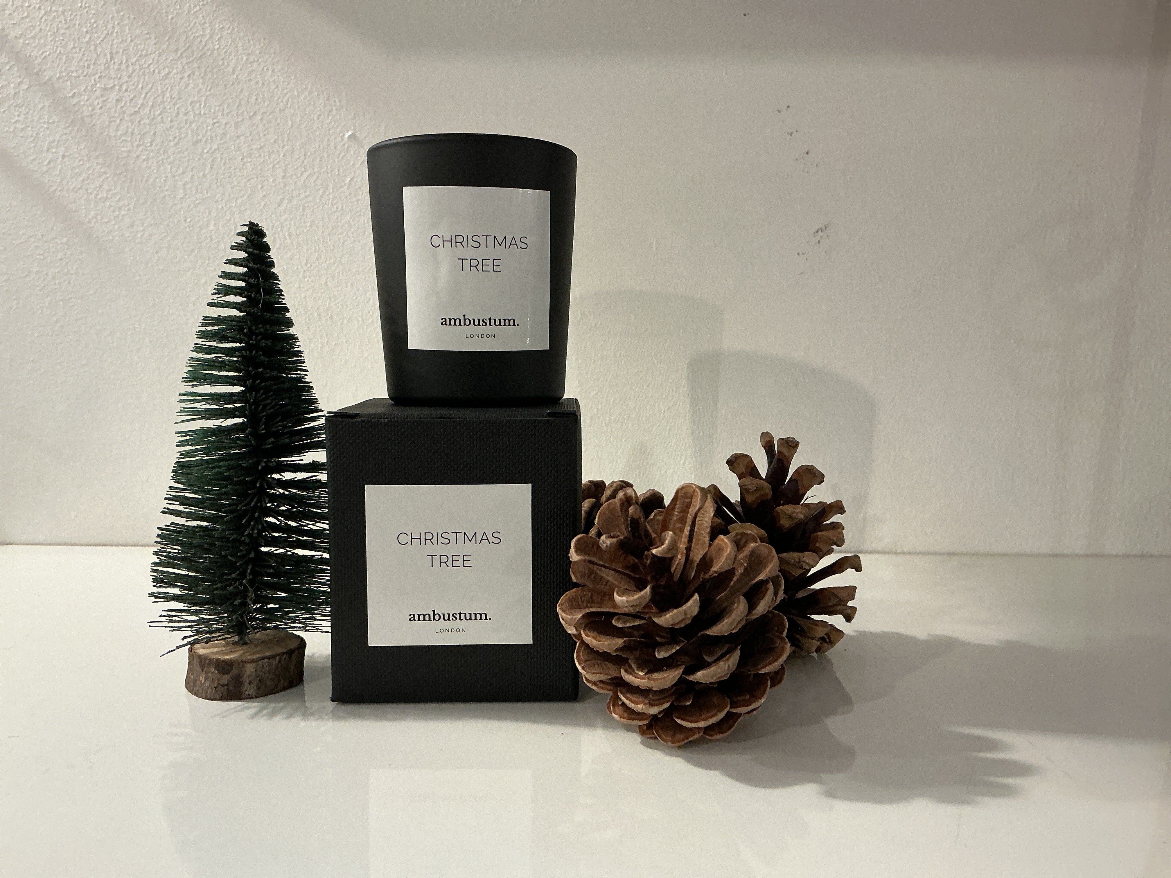 Ambustum Candle in Christmas Tree Scent