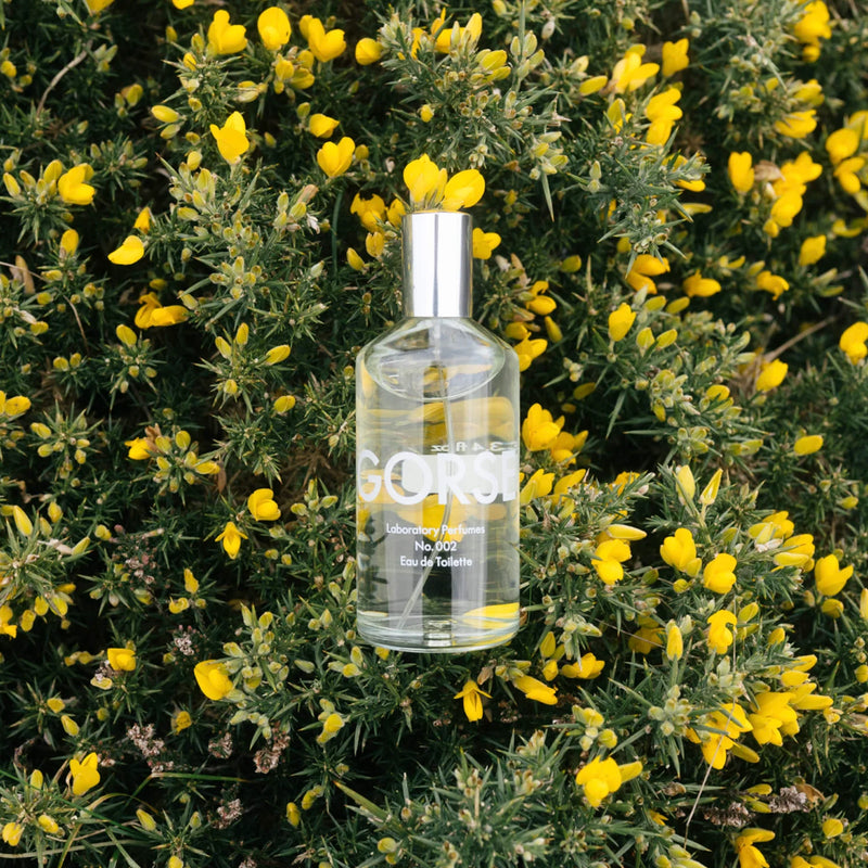 Gorse Eau de Toilette - 100ml