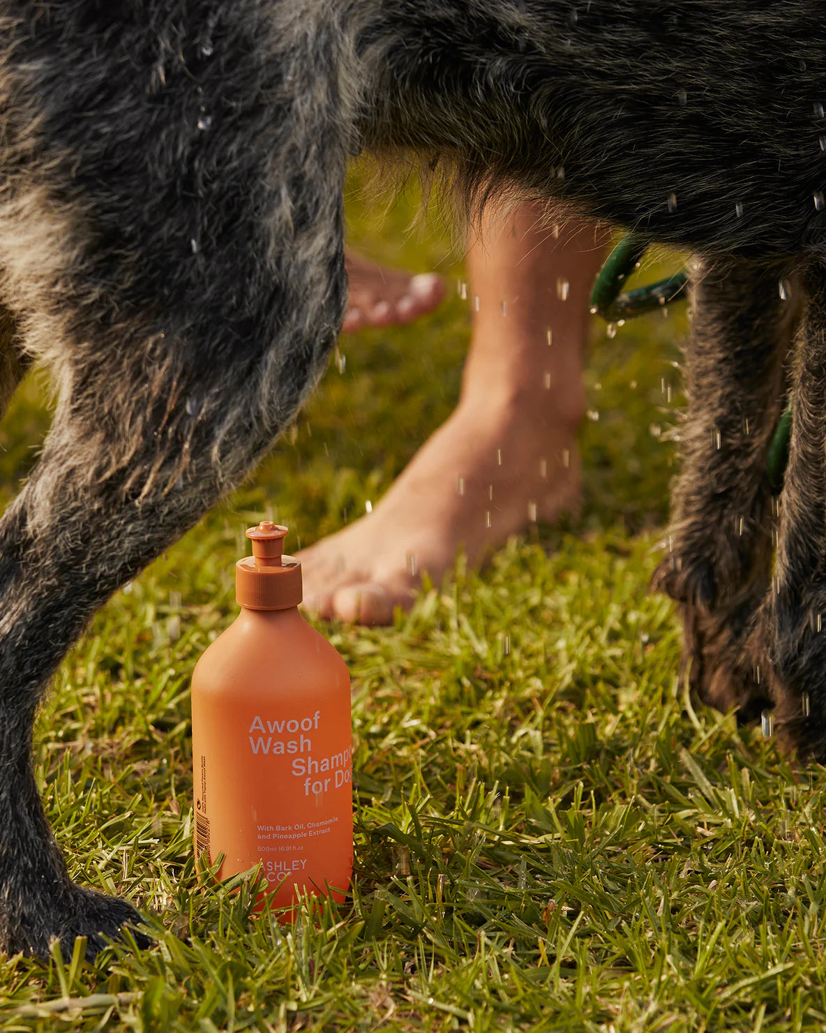 Awoof Wash Dog Shampoo 500ml