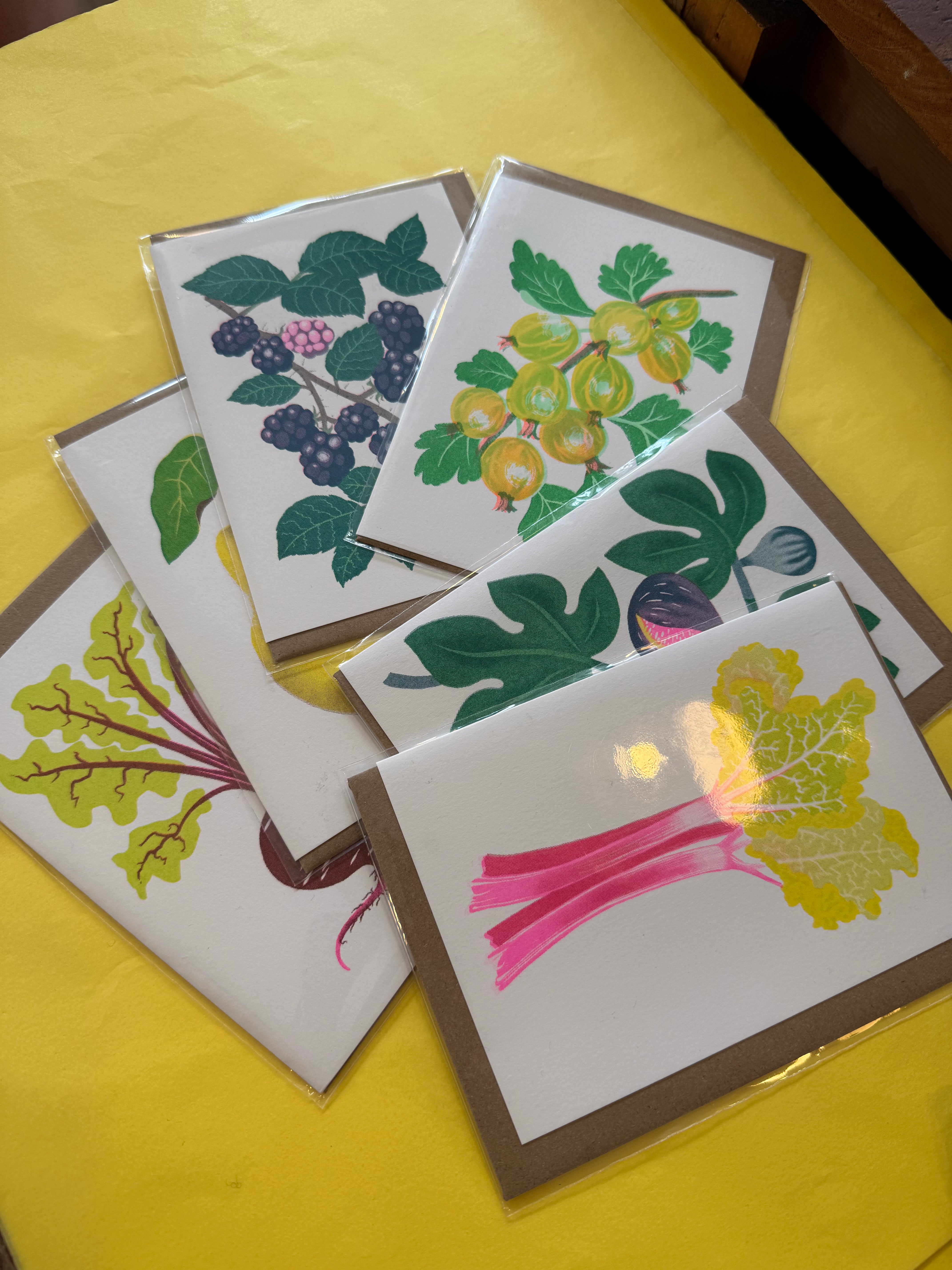 Petra Boase Cards