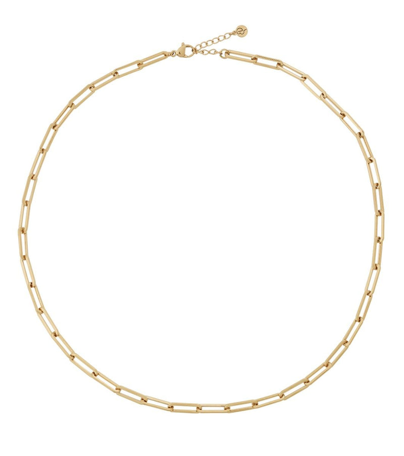 Ivy Chain Large Link Necklace in 14k Gold Plating on Stainless Steel