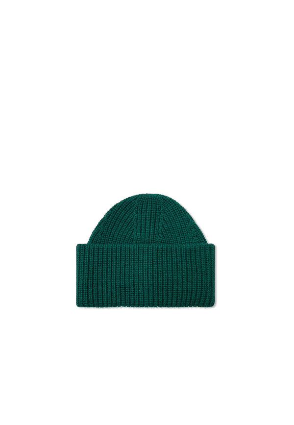 The Merino Wool Beanie in Green