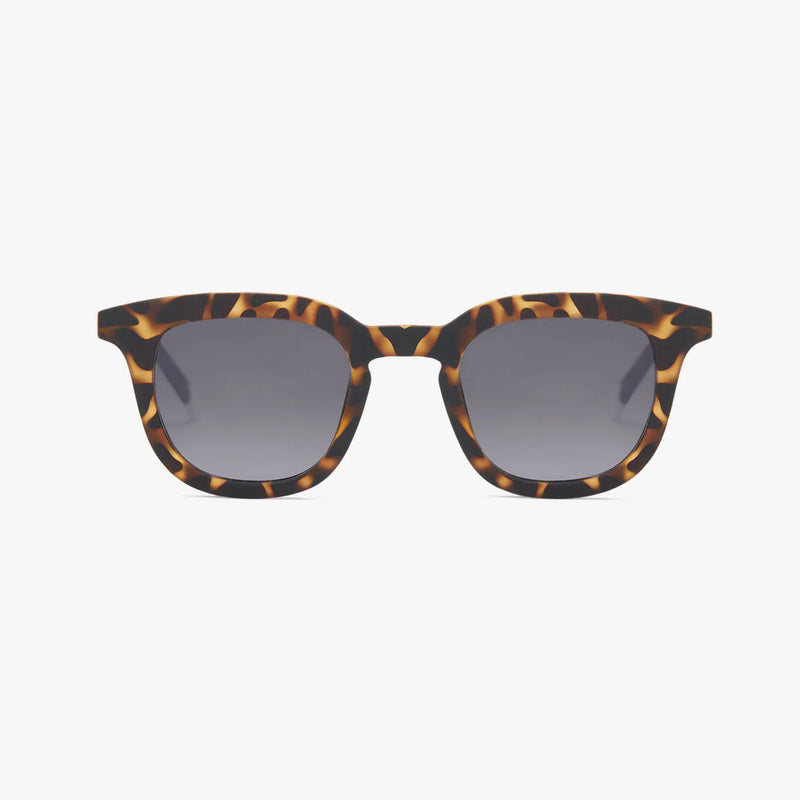 Barner sunglasses: Osterbro in Tortoise