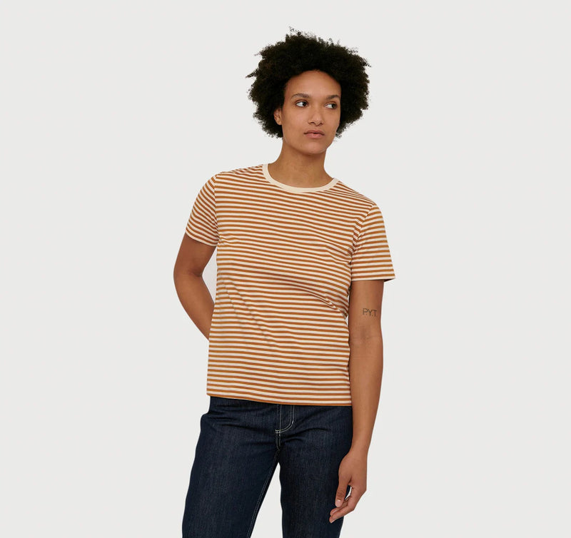 Organic Cotton True Tee in Ochre Stripe