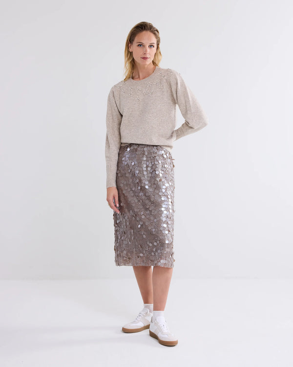 Lined Sequin Skirt