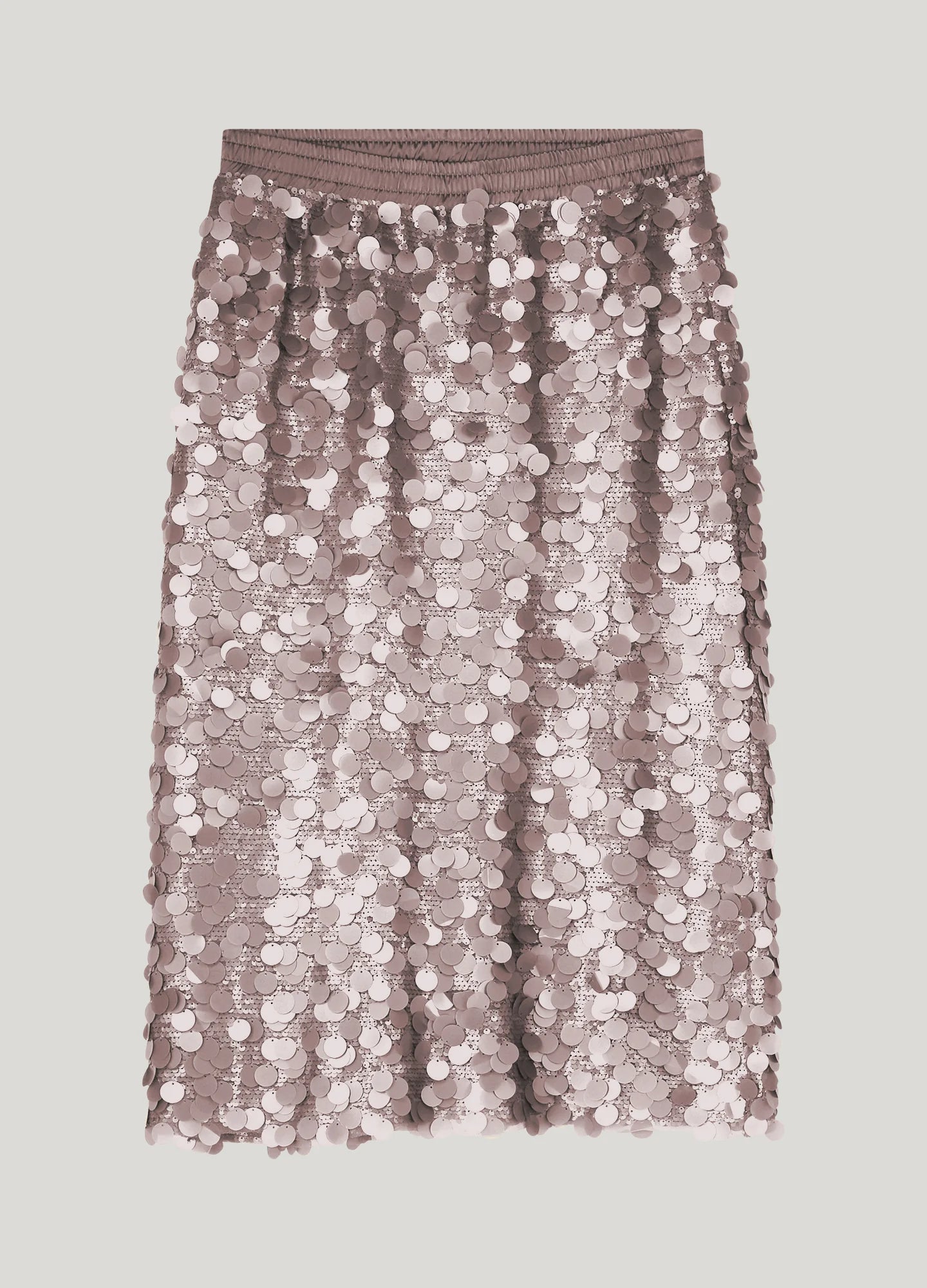 Lined Sequin Skirt